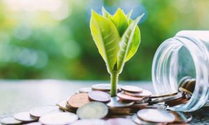 Linking investing to environmental concerns.
